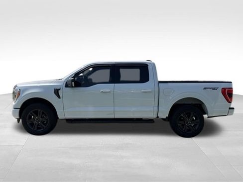 Used 2023 Ford F150 XLT w/ Equipment Group 302A High AWD/4WD image 4