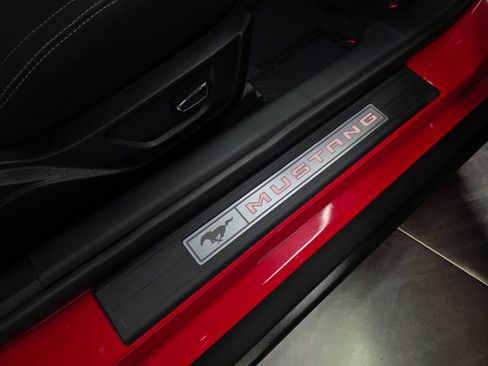 Used 2019 Ford Mustang GT w/ Equipment Group 301A RWD image 29