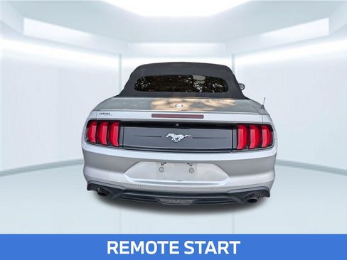 Used 2019 Ford Mustang Premium RWD image 4