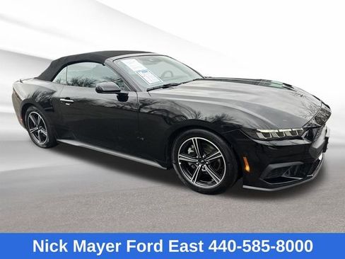 Used 2025 Ford Mustang Premium RWD image 7