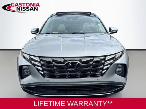 Used 2024 Hyundai Tucson Limited FWD image 2