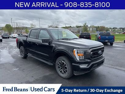 Certified 2023 Ford F150 XLT w/ Equipment Group 302A High
