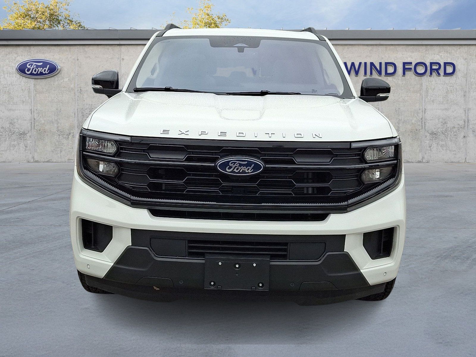 Used 2025 Ford Expedition Active AWD/4WD image 2