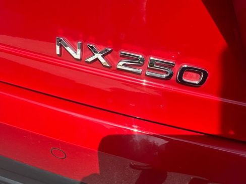 Used 2024 Lexus NX 250 FWD image 5