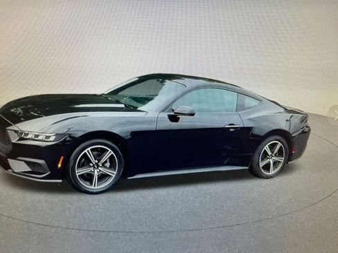 Used 2024 Ford Mustang Premium image 6