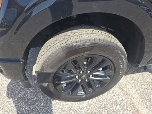 Used 2025 Ford F150 XLT w/ Equipment Group 302A MID AWD/4WD image 7
