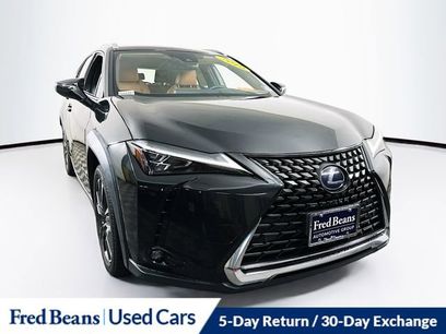Used 2019 Lexus UX 250h w/ Cold Area Package