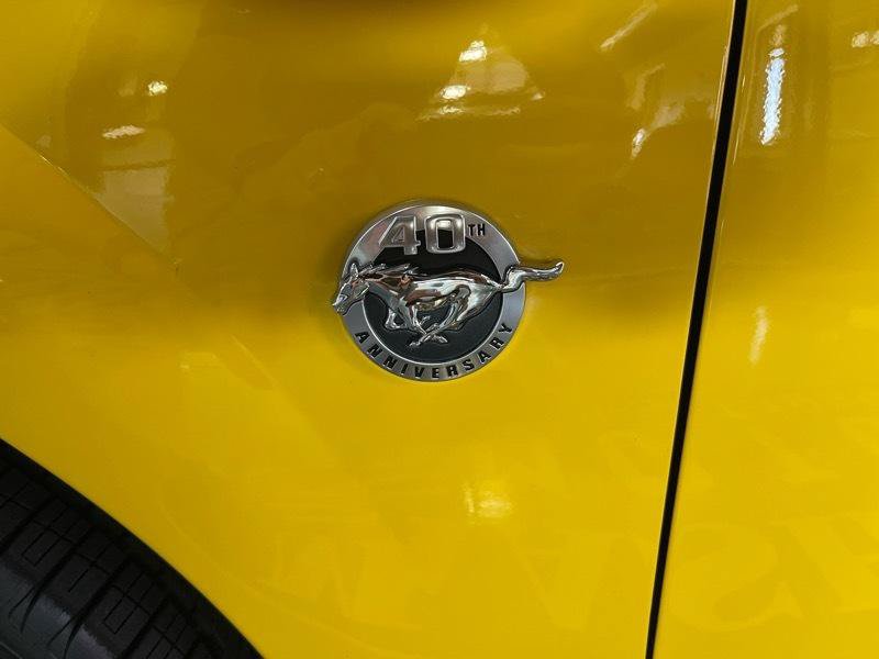 Used 2004 Ford Mustang Mach 1 RWD image 25