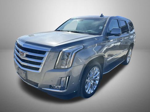 Used 2019 Cadillac Escalade Luxury image 1