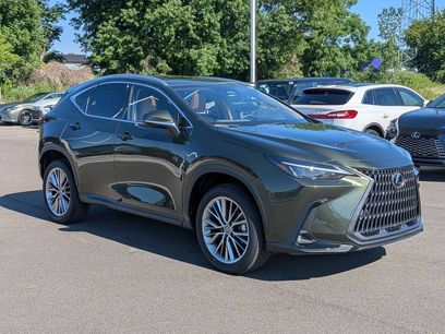 Used 2025 Lexus NX 350h AWD w/ Cold Area Package