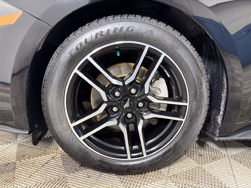 Used 2019 Ford Mustang Premium RWD image 12