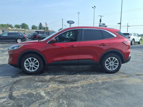 Used 2020 Ford Escape SE AWD/4WD image 6