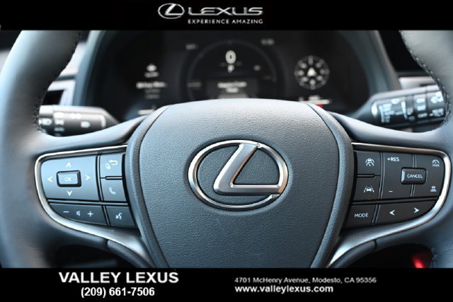 New 2026 Lexus UX 300h FWD w/ Accessory Package (2T) image 10