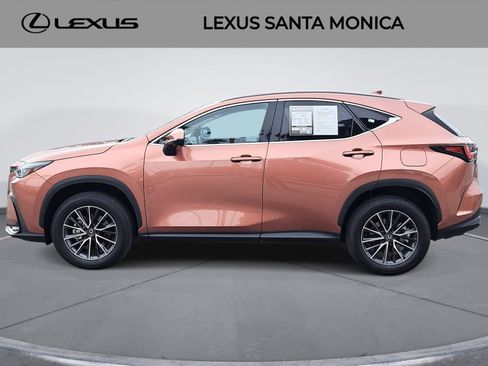 Used 2025 Lexus NX 350 AWD w/ Cold Area Package image 8