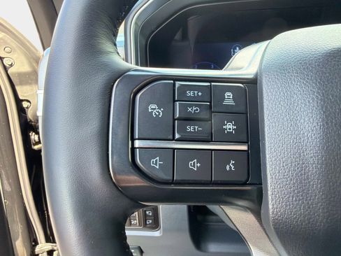 Used 2025 Ford F250 Platinum image 52