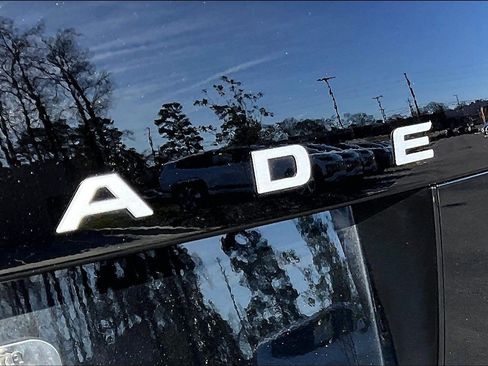 New 2026 Hyundai Palisade Calligraphy image 9