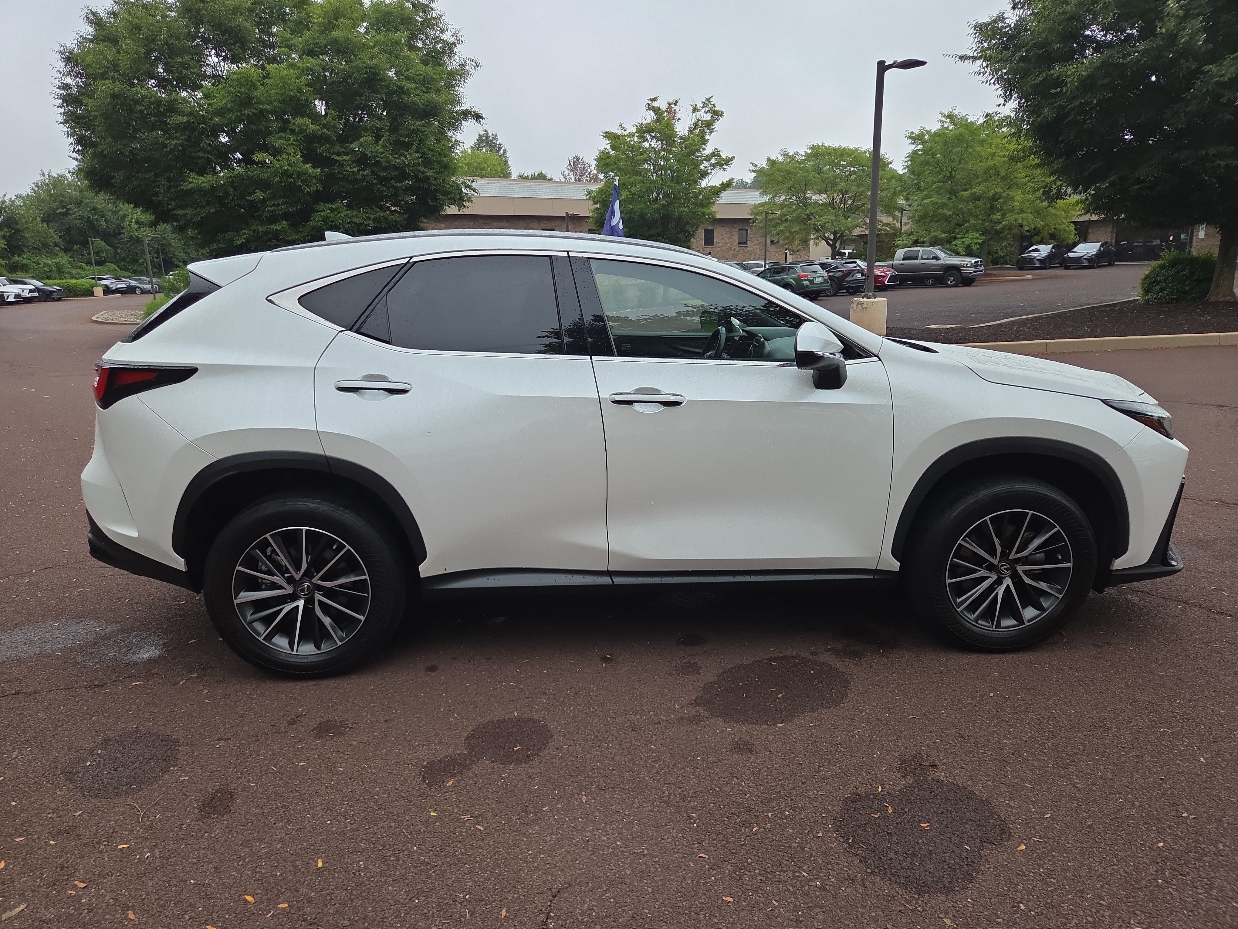 Used 2022 Lexus NX 350 AWD image 2