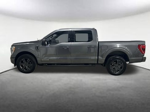 Used 2023 Ford F150 XLT w/ Equipment Group 302A High image 2