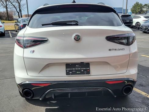 New 2025 Alfa Romeo Stelvio Sprint w/ Veloce Package image 4