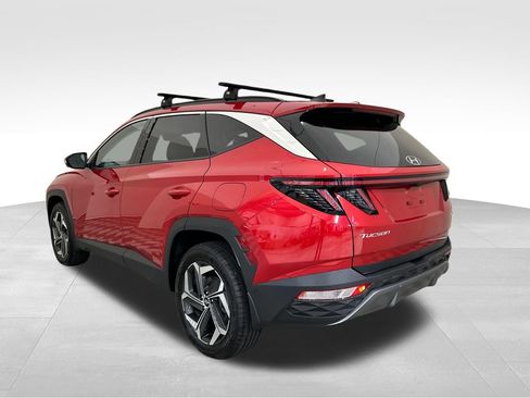 Used 2023 Hyundai Tucson Limited AWD/4WD image 3
