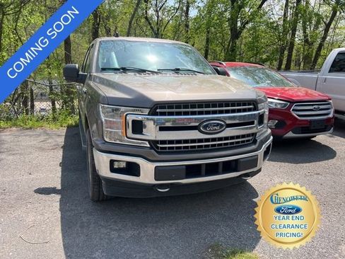 Used 2019 Ford F150 XLT w/ Equipment Group 302A Luxury image 3