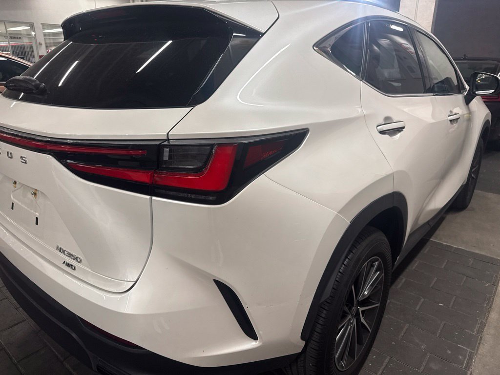 Used 2024 Lexus NX 350 AWD w/ Cold Area Package image 3