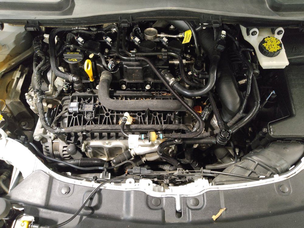 Used 2019 Ford Escape SE FWD image 30