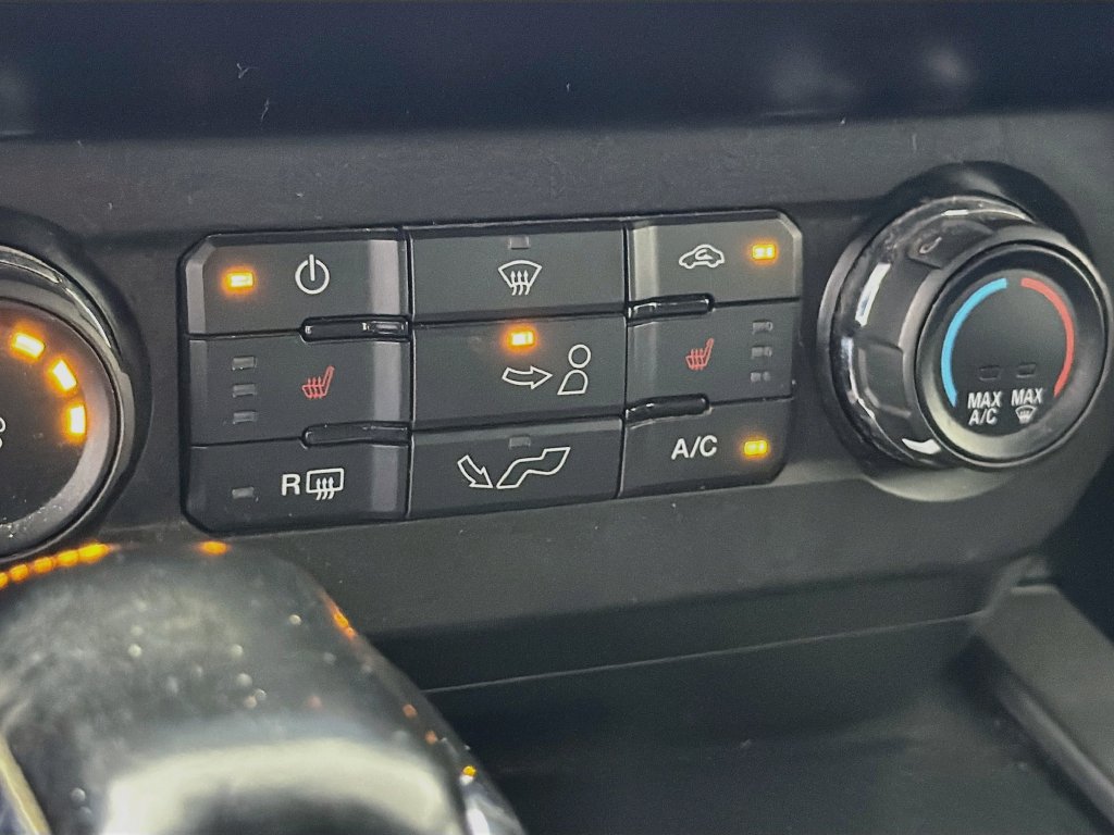 Used 2019 Ford F150 XLT w/ Equipment Group 302A Luxury AWD/4WD image 24