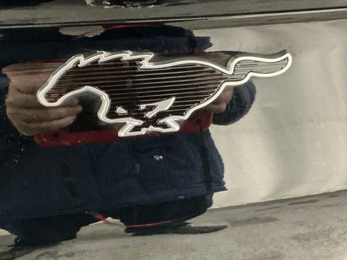 Used 2021 Ford Mustang Mach-E Select w/ Comfort/Appearance Package image 5