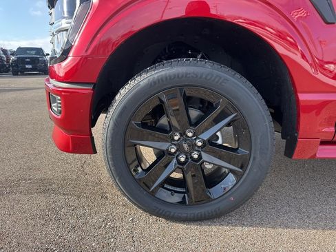 New 2025 Ford F150 STX w/ LOBO Package image 14
