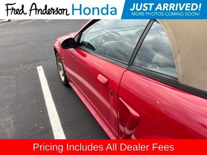 Used 1999 Ford Mustang Cobra