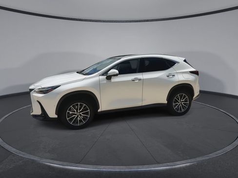 Used 2025 Lexus NX 350h AWD w/ Cold Area Package image 5