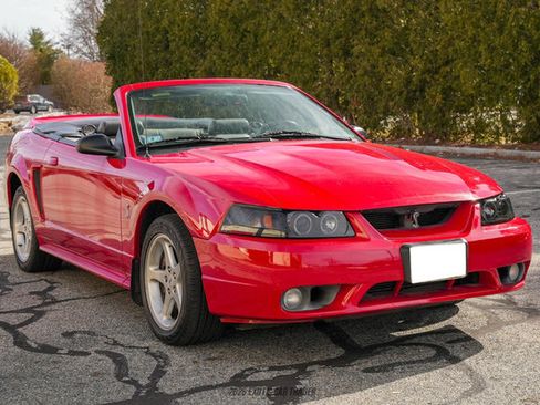 Used 1999 Ford Mustang Cobra RWD image 12