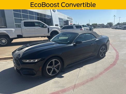 Used 2024 Ford Mustang Premium RWD image 1