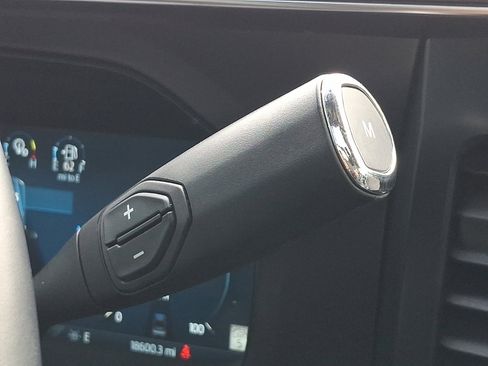 Used 2024 Ford F250 Platinum w/ Tremor Off-Road Package image 15