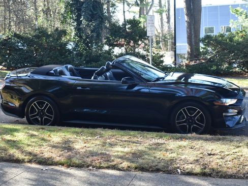 Used 2019 Ford Mustang Premium image 11