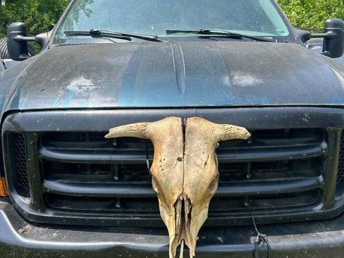 Used 1999 Ford F250 XLT image 11