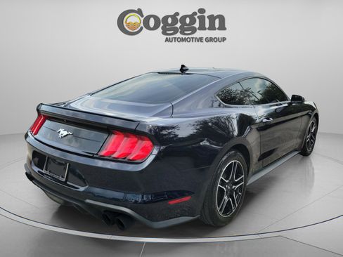 Used 2021 Ford Mustang Premium w/ Equipment Group 201A RWD image 3