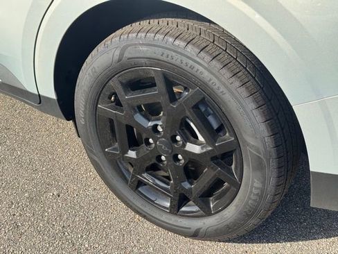 Used 2025 Kia Carnival SX w/ SX Dark Edition Package image 6