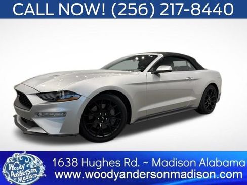 Used 2019 Ford Mustang Premium w/ Ecoboost Performance Package RWD image 1