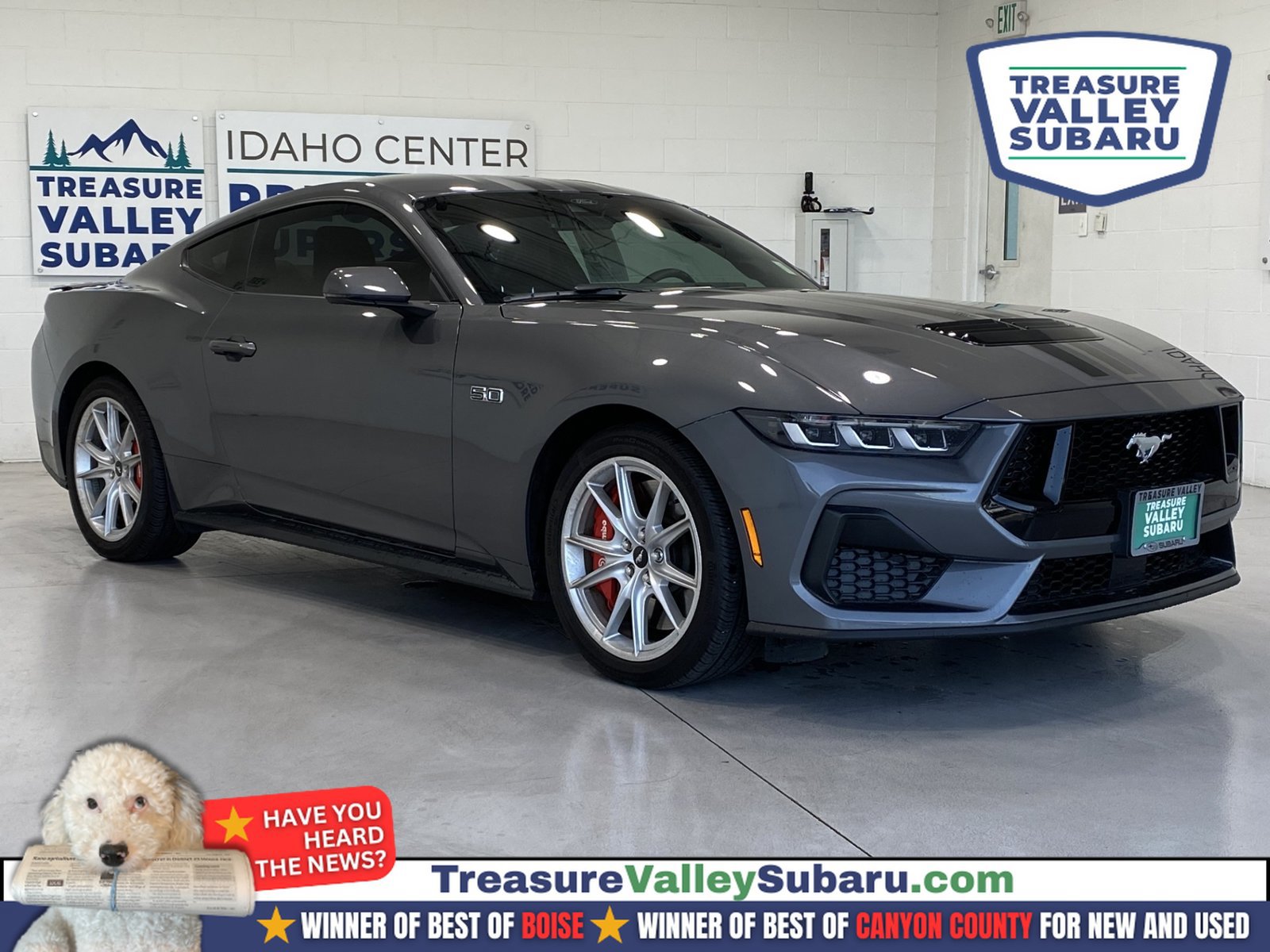 Used 2024 Ford Mustang GT Premium RWD image 1