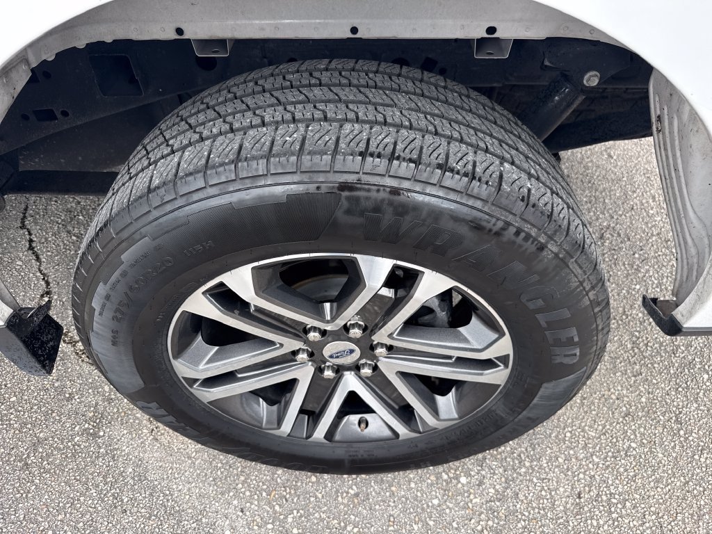 Used 2023 Ford F150 XL w/ STX Appearance Package RWD image 11