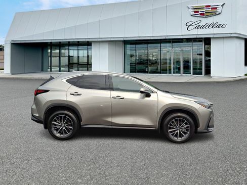 Used 2024 Lexus NX 350 AWD w/ Cold Area Package image 7