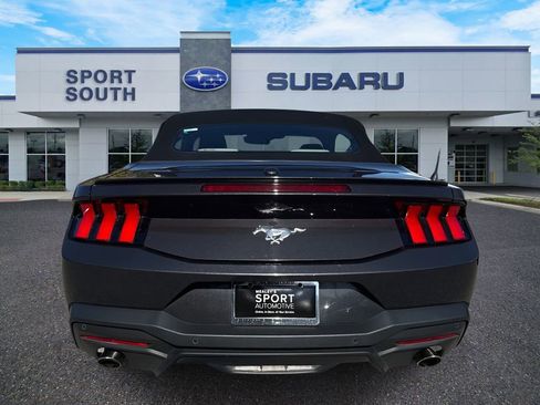 Used 2024 Ford Mustang Premium image 4