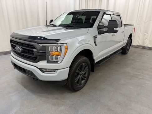 Used 2023 Ford F150 XLT w/ Equipment Group 302A High AWD/4WD image 3