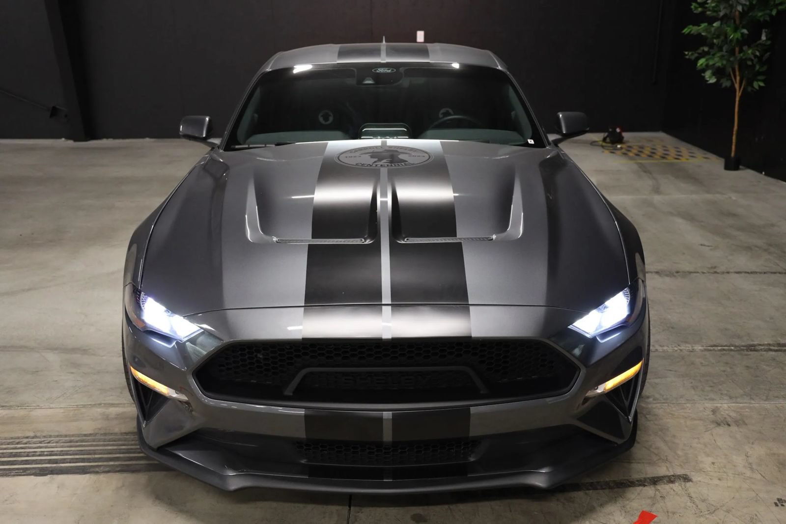 Used 2023 Ford Mustang GT Premium w/ Equipment Group 401A RWD image 6