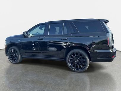 New 2026 Cadillac Escalade Platinum Sport w/ LPO, ONYX Package