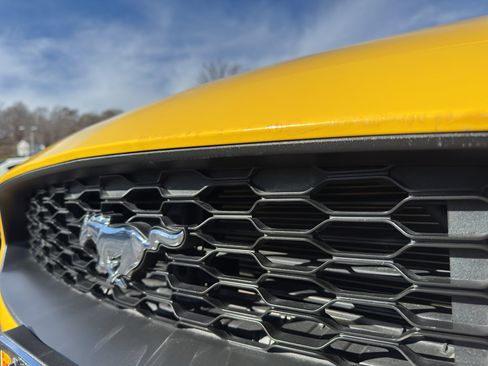 Used 2018 Ford Mustang Premium w/ Equipment Group 201A image 2