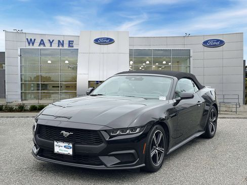 Used 2024 Ford Mustang Premium RWD image 2