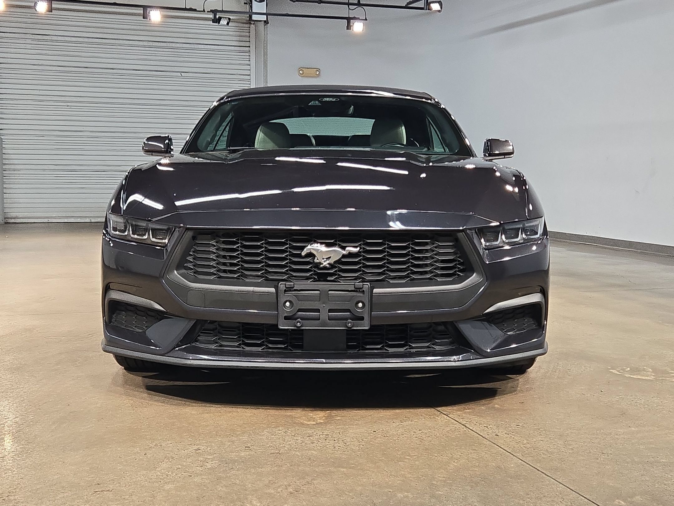 Used 2024 Ford Mustang Premium RWD image 2